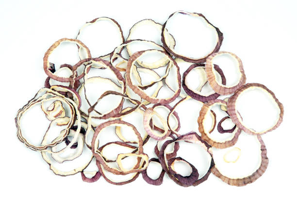 istock Dried salad onion slices on white background 1144241554