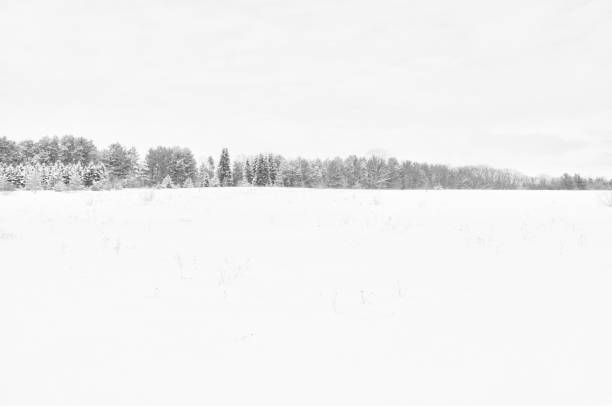 istock Winter Snow Nature Day Outdoors 1144241583