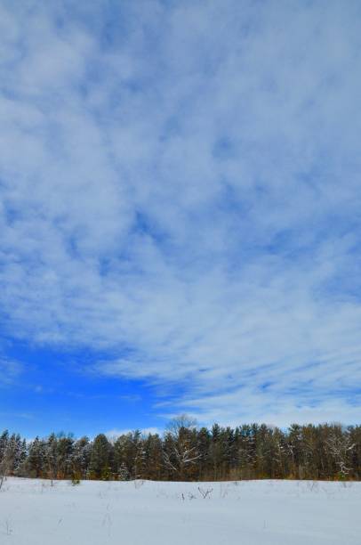 istock Winter Snow Nature Day Outdoors 1144241659