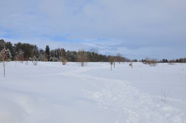 istock Winter Snow Nature Day Outdoors 1144241675