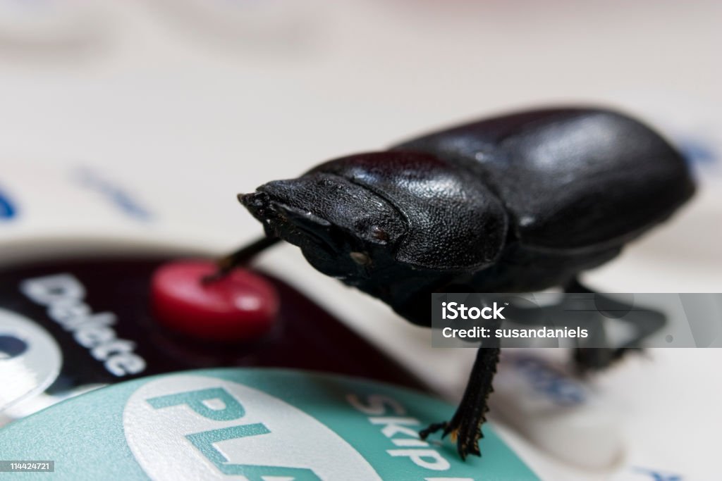 Schwarze Käfer mit Bein auf die rote Schaltfläche LÖSCHEN. - Lizenzfrei Bockkäfer Stock-Foto