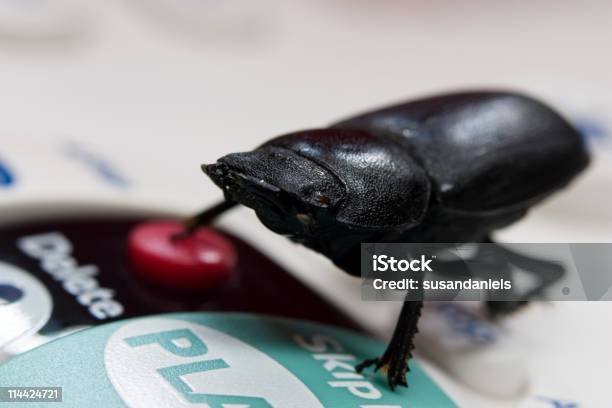 블랙 딱정벌레 신체부위 빨간색 삭제 버튼을 클릭합니다 0명에 대한 스톡 사진 및 기타 이미지 - 0명, 개념, 곤충