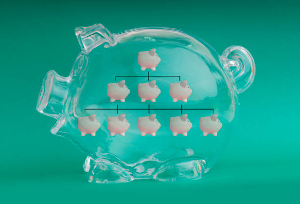 A Piggy Bank financial concept photo. Photographed using the Canon EOS 5DSR at 50mp