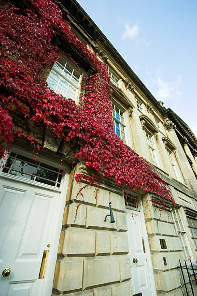 istock georgian houses 114425159