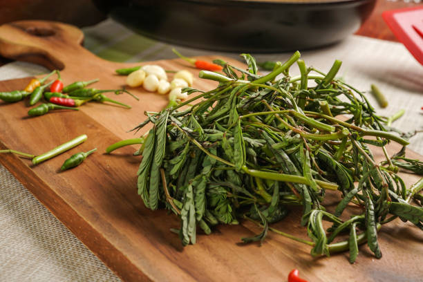 istock material of water minosa for stir-fried thai style 1144252469