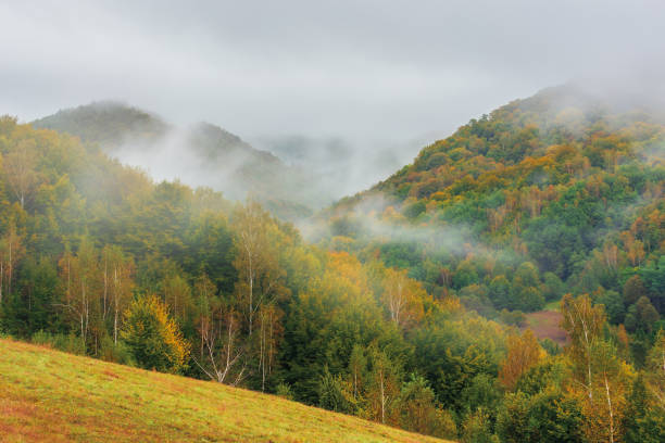 istock wonderful nature scenery in autumn 1144256698