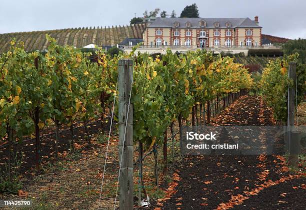 Winiarnia W Carneros - zdjęcia stockowe i więcej obrazów Carneros Valley - Carneros Valley, Dolina, Dom - Budowla mieszkaniowa