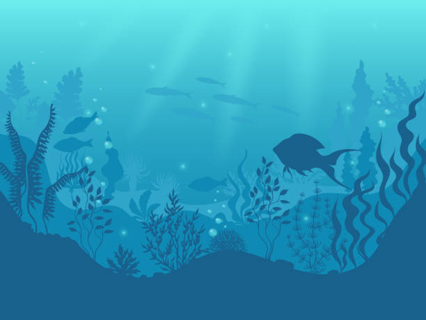 水中シルエットの背景。海底サンゴ礁、海の魚や海藻の漫画のシーン。ベクトルアクアライフと海底 - 海点のイラスト素材／クリップアート素材／マンガ素材／アイコン素材