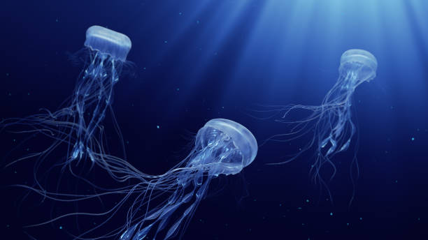 3d-fabstration von quallen, die im tiefen ozean schwimmen - jellyfish translucent sea glowing stock-fotos und bilder