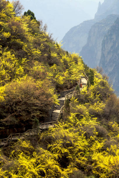 istock Baquan gorge natural landscape 1144268887
