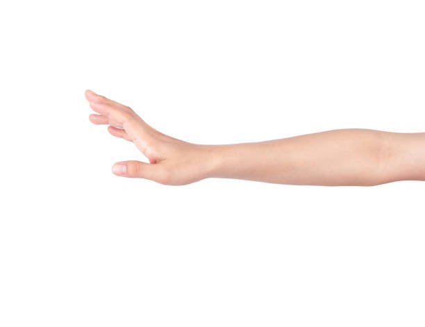 istock Hand call, Beckon isolated on white background 1144269026