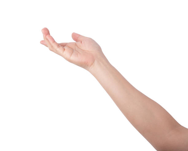 istock Woman hand isolated on white background 1144269032