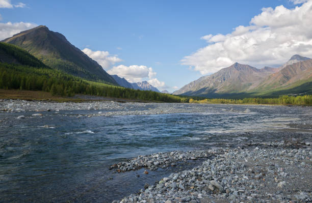 istock Syulban River in the Trans-Baikal Territory 1144272203