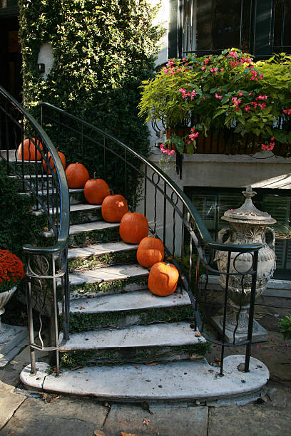 istock Stair of pumkin 114427311