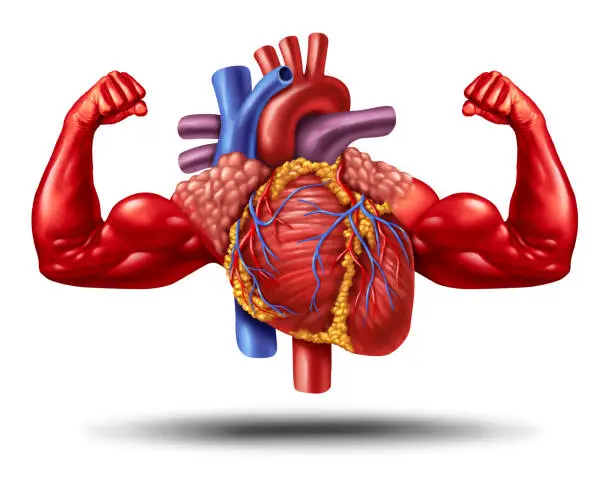 Photo of Strong Healthy Heart