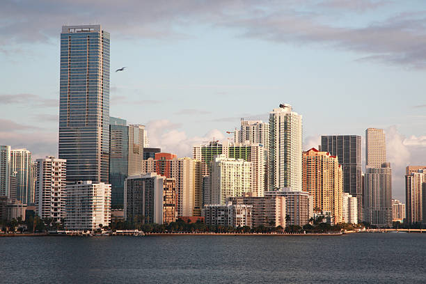 miami skyline - rickenbacker causeway zdjęcia i obrazy z banku zdjęć