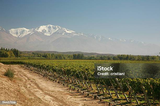 Winnic W Dolinie Tupungato - zdjęcia stockowe i więcej obrazów Argentyna - Argentyna, Wino, Góry Andy