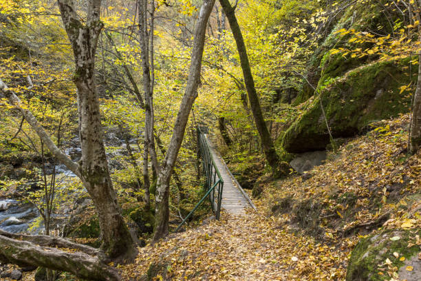 istock View of Devin river gorge, Rhodope Mountains, Bulgaria 1144276288