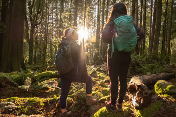 Multi-Ethnic Sisters Hiking Stop to Admire Sunlight Shining Through Forest