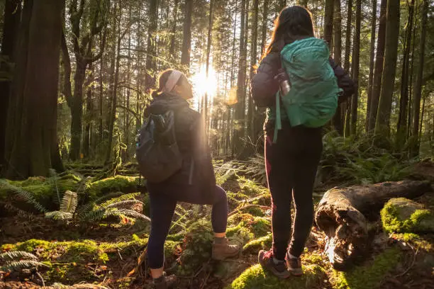 Photo of Multi-Ethnic Sisters Hiking Stop to Admire Sunlight Shining Through Forest