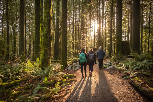 wieloetniczna rodzina idąca wzdłuż słonecznego szlaku leśnego, ojciec i córki - parks canada zdjęcia i obrazy z banku zdjęć