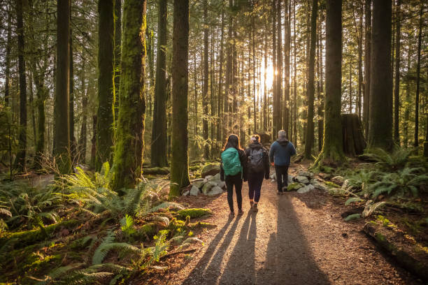 multi-ethnic family walking along sunlit forest trail, father and daughters - autumn women park forest imagens e fotografias de stock