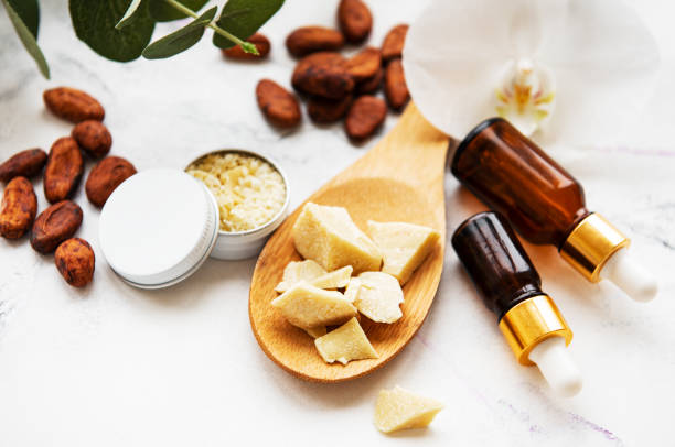 Natural spa ingredients Natural spa ingredients with cocoa beans, cocoa butter and orchid flowers on a white marble background theobroma stock pictures, royalty-free photos & images