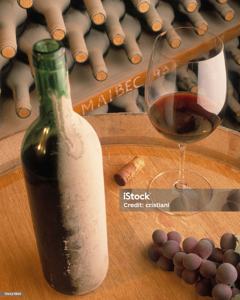 Стекло из винограда Mendozan malbec - Стоковые фото Аргентина роялти-фри