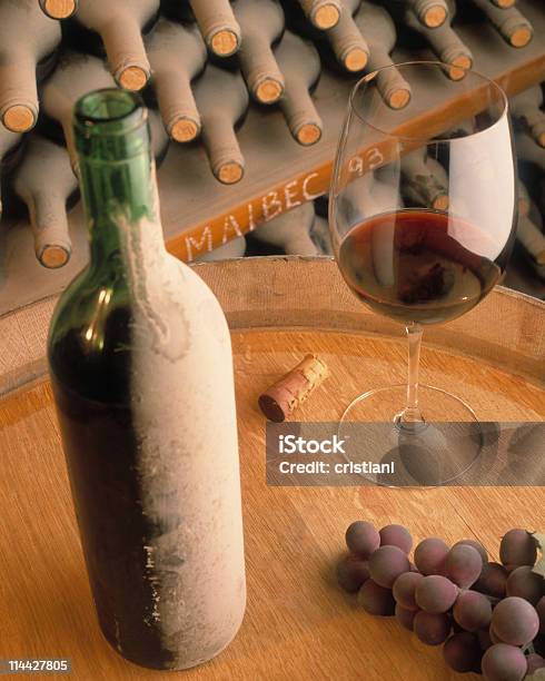 Стекло Из Винограда Mendozan Malbec — стоковые фотографии и другие картинки Аргентина - Аргентина, Бутылка, Вино