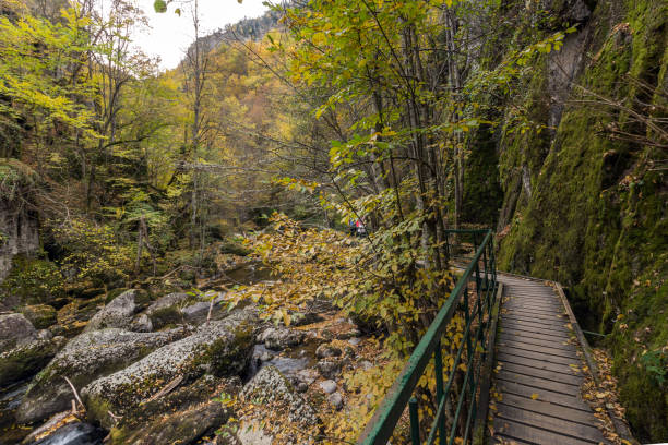 istock View of Devin river gorge, Rhodope Mountains, Bulgaria 1144281837