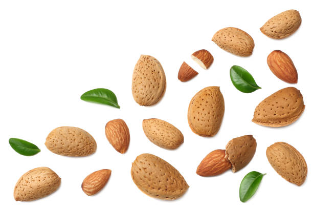 istock almonds with green leaves isolated on white background. top view. 1144282085
