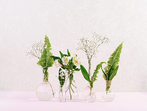 Flowers and plants in flask. Beautiful spring background with flowers in vase.
