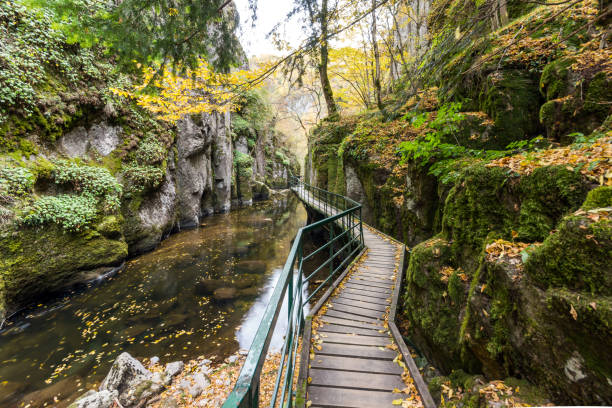 istock View of Devin river gorge, Rhodope Mountains, Bulgaria 1144283633
