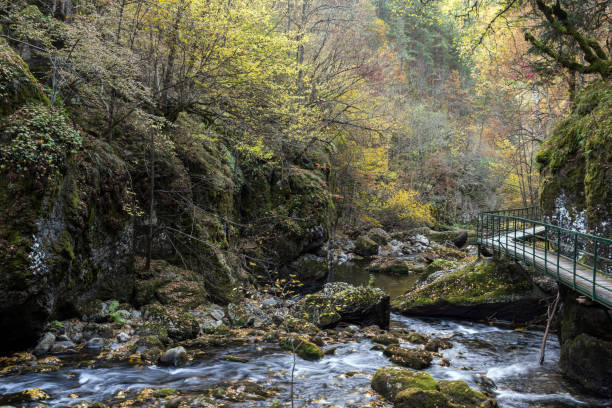 istock View of Devin river gorge, Rhodope Mountains, Bulgaria 1144283770