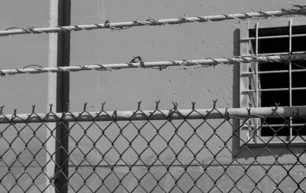 istock Barbed wire fence details 1144284345