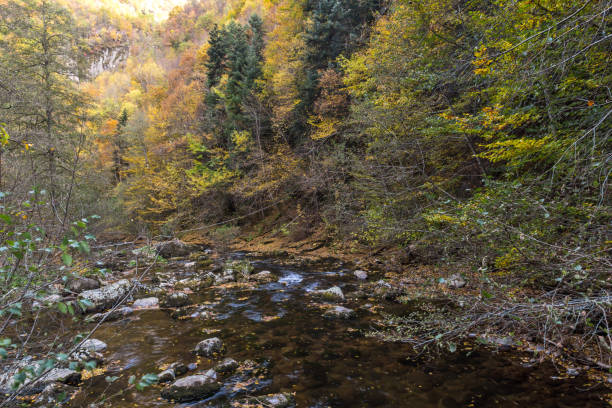 istock View of Devin river gorge, Rhodope Mountains, Bulgaria 1144284714