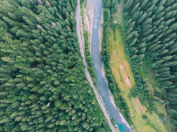 istock aerial view of forest with road and river. 1144284971