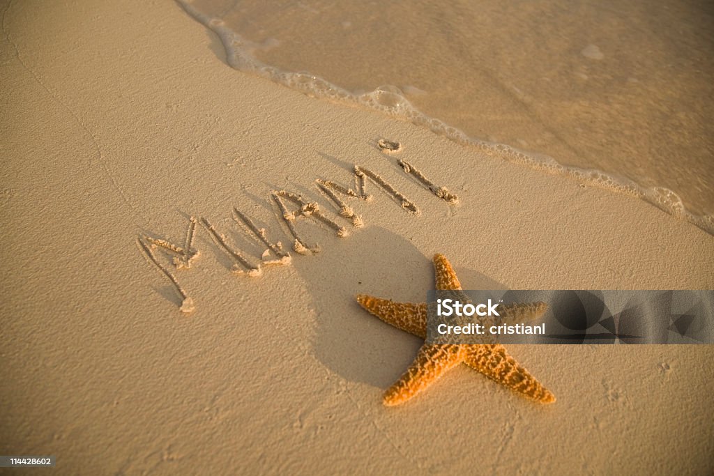 Estrela-do-mar em Miami Beach - Foto de stock de Areia royalty-free