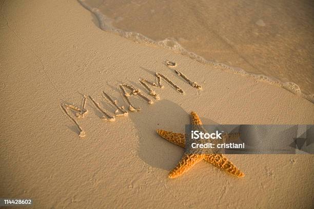 Foto de Estreladomar Em Miami Beach e mais fotos de stock de Areia - Areia, Caribe, Estrela-do-mar