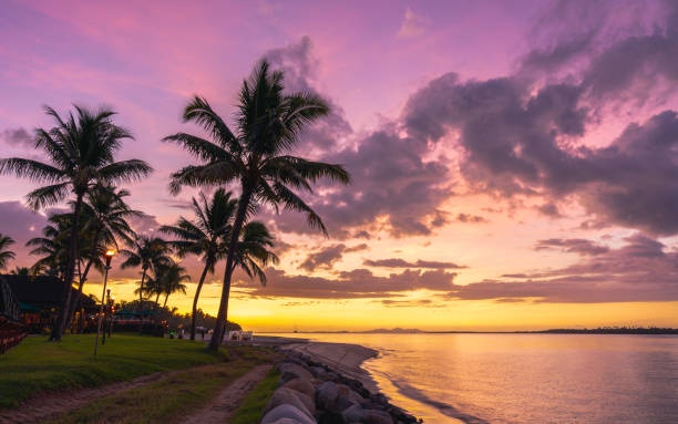 Fijian coastline at sunset Pink sky during a colourful sunset over palm trees and beach in Fiji fiji stock pictures, royalty-free photos & images