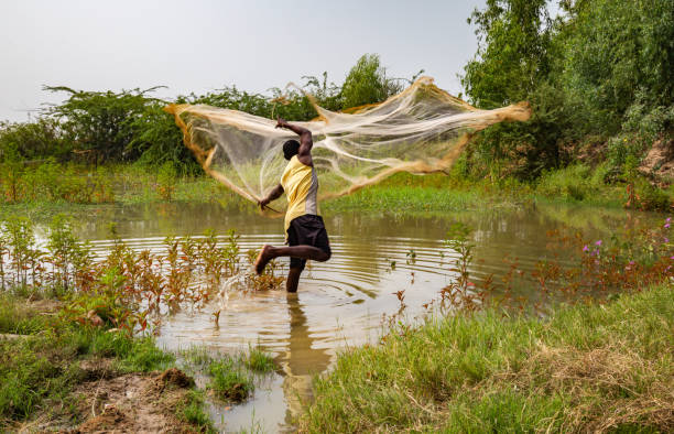 joven musculoso africano que lanza una red de pesca en el prado del río níger cerca de niamey durante la temporada alta de agua - niger fotografías e imágenes de stock