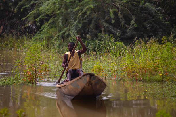 Young muscular African man driving a canoe through Niger river meadows close to Niamey during high water season stock photo