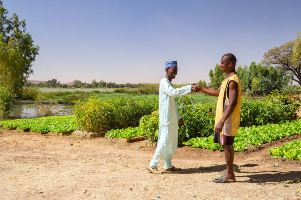 twee afrikaanse mannen schudden handen in de buurt van een agrarisch gebied op de vruchtbare oevers van niger rivier dicht bij niamey - boubou stockfoto's en -beelden