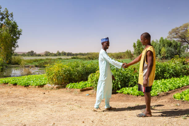 twee afrikaanse mannen schudden handen in de buurt van een agrarisch gebied op de vruchtbare oevers van niger rivier dicht bij niamey - boubou stockfoto's en -beelden