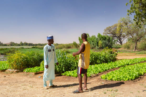 twee afrikaanse mannen bespreken in de buurt van een agrarisch veld op de vruchtbare oevers van de niger rivier dicht bij niamey - boubou stockfoto's en -beelden