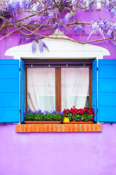 istock Window with blue shutters and flowers on the violet wall. 1144297971