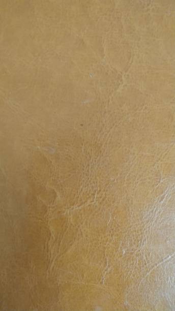 istock Genuine leather beige color, natural pattern. Background. Close-up. 1144301833