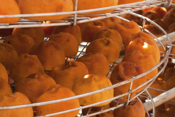 istock Hsinchu, Xinpu, Dried persimmon 1144304471