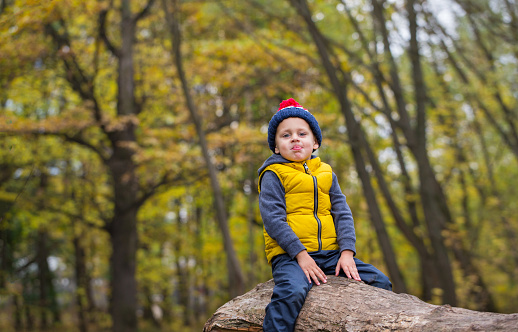 A little boy clambers, balances and sits on a fallen tree trunk, dressed in warm clothes and a hat with a punpon and shows his tongue