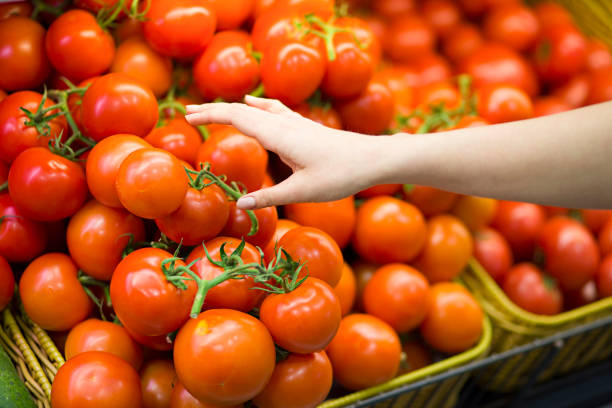 istock Female hand choosing tomato in the store 1144305009